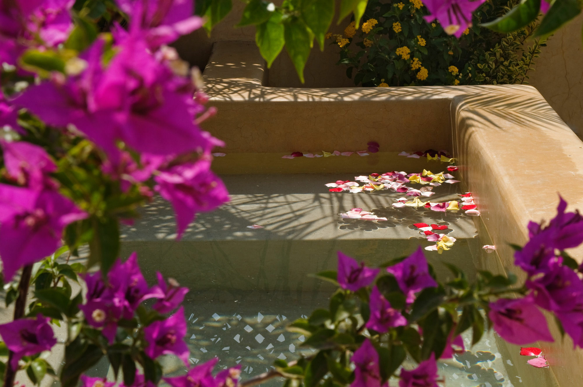 Riad Papillon By Marrakech Riad Marrakesch Exterior foto